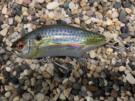 L'Hadara Trap est massif !