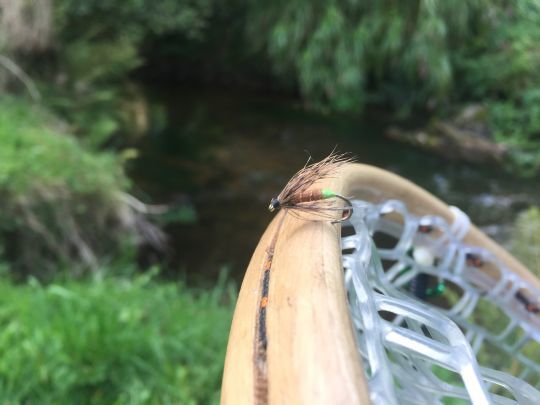 La noyée cul vert est excellente pendant les éclosions des sedges brachycentrus