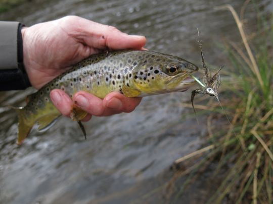 Chaque pêcheur aura ses préférences quant à la technique employée, le type de rivière où il débutera sa saison ou encore le type de pêche qu'il privilégiera. La pêche au streamer peut permettre de faire de beaux poissons en début de saison.