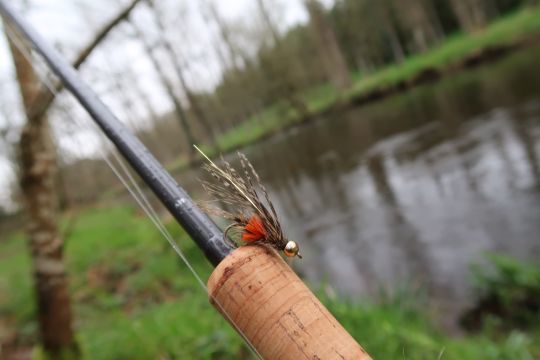 Le streamer veron paonne de Florian Stephan est très efficace sur les truites