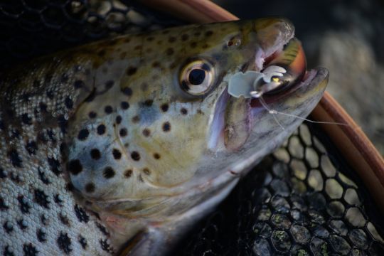 Les disponibilités des PN fait main sont limités