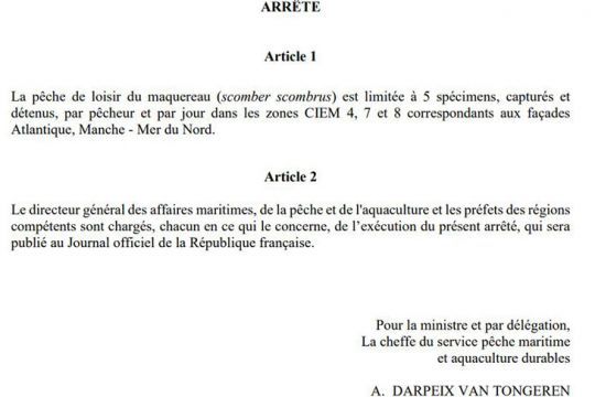 L'arrêté propose bien 5 maquereaux par pêcheur et par jour