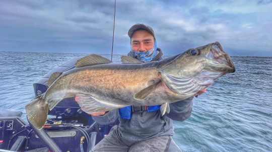 Pêcher profond permet de capturer des poissons records. Malheureusement, la remise à l'eau de ceux-ci est impossible.