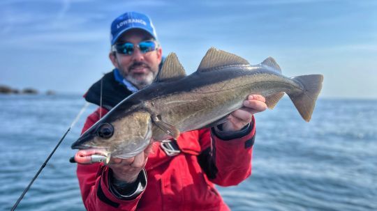 Pour pêcher proche du fond, le Black Minnow de FIIIISH est le leurre adapté.