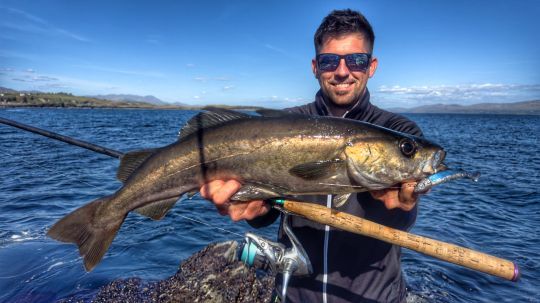 L'Irlande est le paradis pour la pêche du lieu jaune du bord.