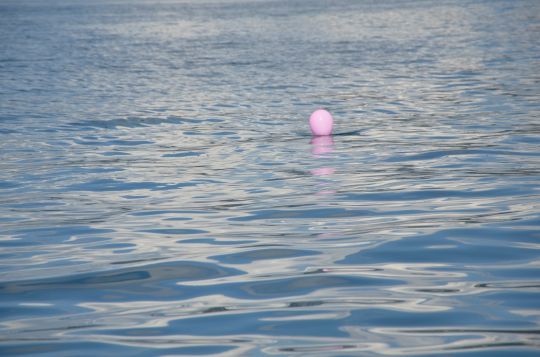 Contrôler la profondeur de nage du vif.