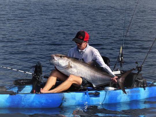 Différentes techniques pour rechercher la sériole.