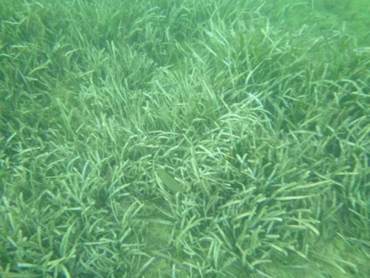 Des écosystèmes en danger.