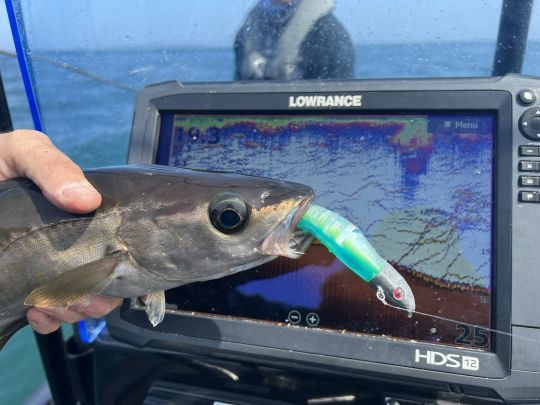 Voilà qui se cache sous la surface ! 