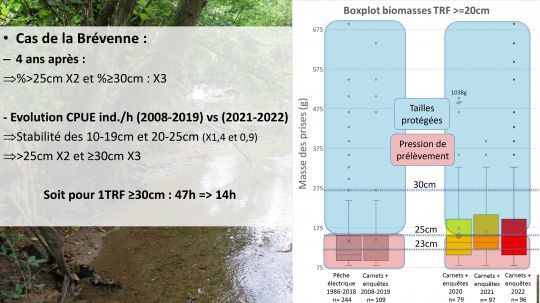 En 2022, la fédération de pêche du Rhône avait présenté devant les fédérations de pêche réunies à Paris ses conclusions de l'expérimentation de la fenêtre de capture de la truite fario sur la Brévenne et ses affluents. 