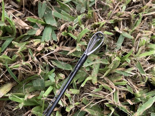 La construction est solide.