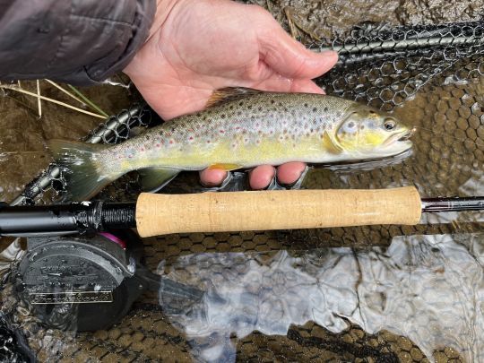 La sèche-nymphe me permettra de tirer mon épingle du jeu dans ces conditions ventées! 