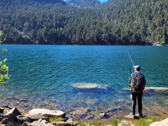 Faire partie d'un tout, apprendre à lire la nature qui nous entoure.
