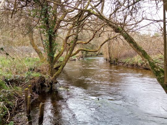 Dès que cela est possible, je tente d'aborder les postes depuis l'aval afin d'être le plus discret possible.