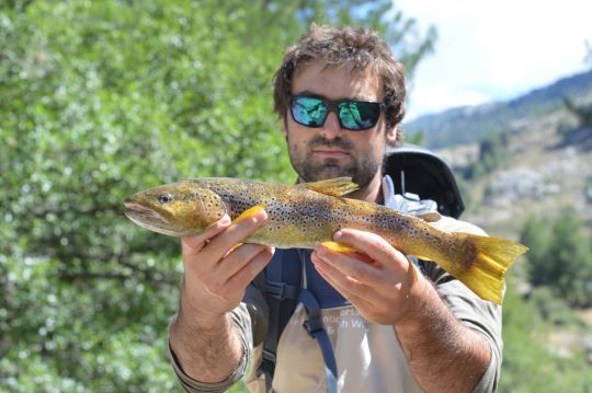 Le 50mm respecte les proportions et permet de faire des photos sobres et propres de vos captures