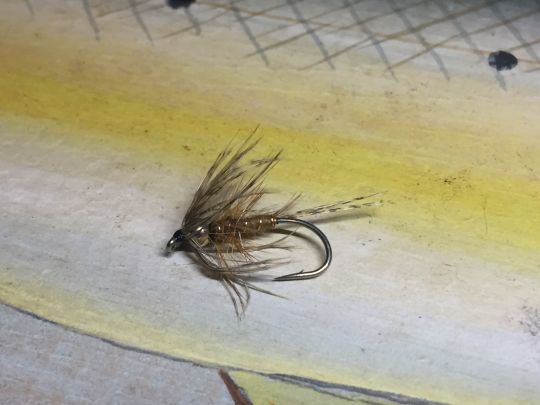 Une variante avec une bille avant le hackle de tête. On peut aussi varier les cerclages, la couleur du corps pour se constituer toute une boite en différente taille