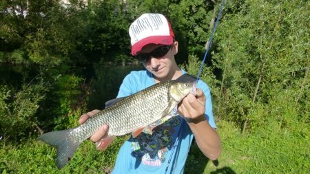 Le chevesne, un poisson à cibler au printemps.