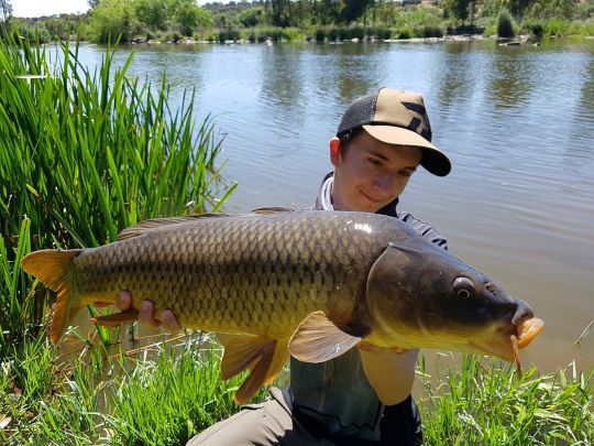 De beaux poissons à pêcher au pain.