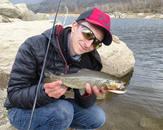 Les barrages ont une incidence sur le comportement des poissons.