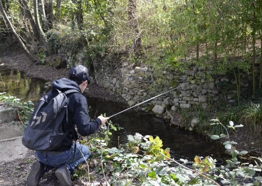 Profiter des jours fériés pour aller pêcher.