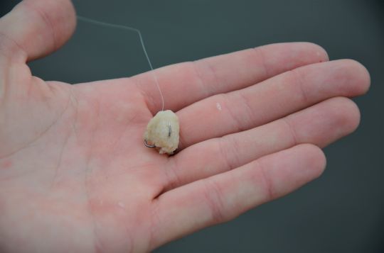 Une bouchée compacte.