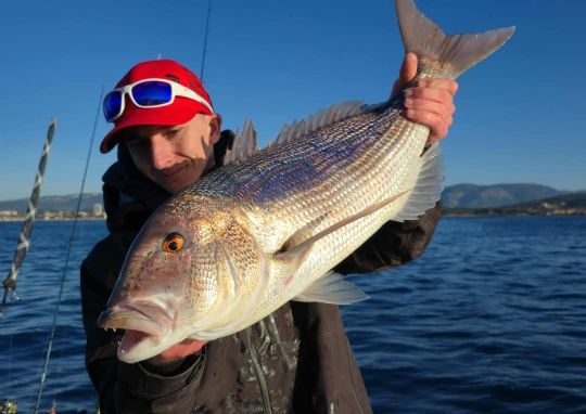 Pêcher le denti en verticale