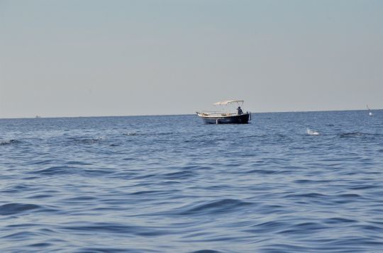 Pêcher sur les chasses