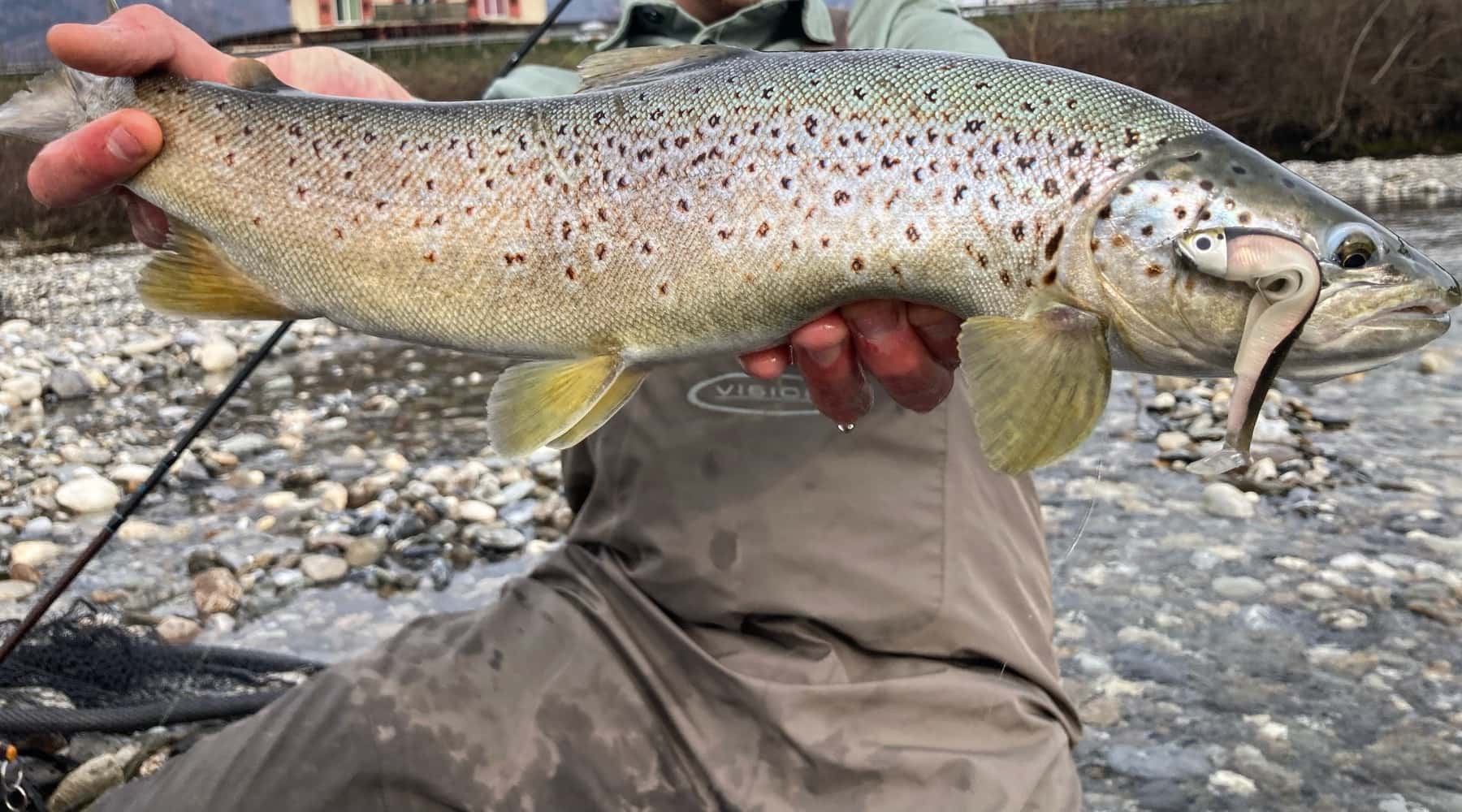 Trout fishing special edition