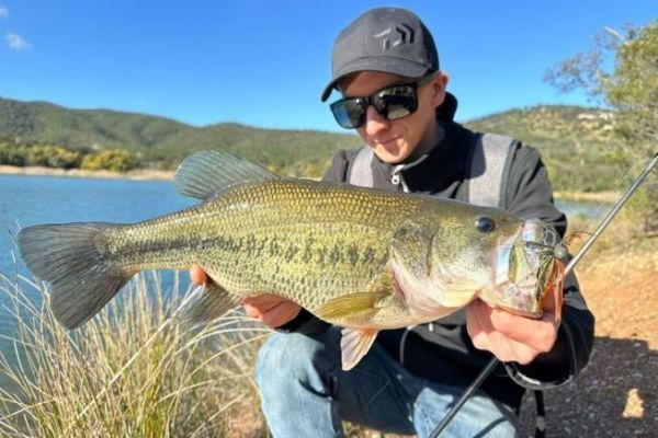 Black bass at the end of winter