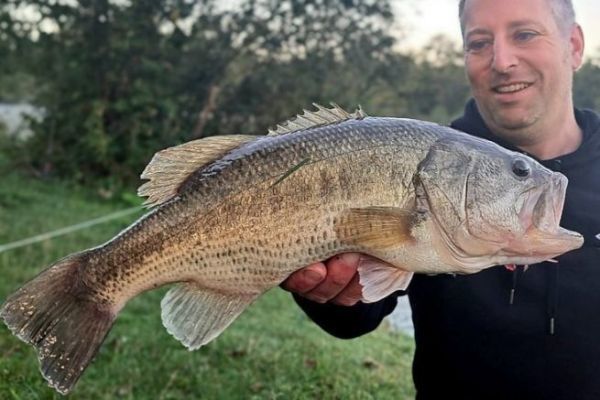 Fishing for black bass