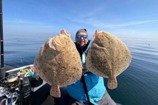 Fishing for turbot
