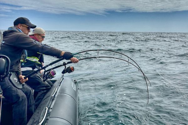 Two fish to manage at the same time! It takes a bit of organization.