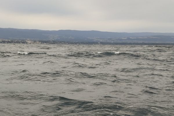 The influence of the moon on sea fishing