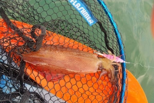 Efficient new jigs
