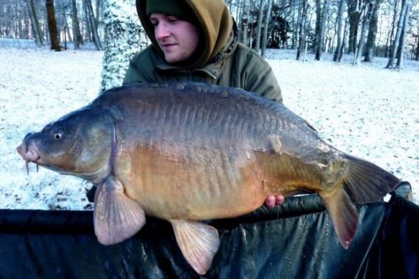 Carp fishing in winter