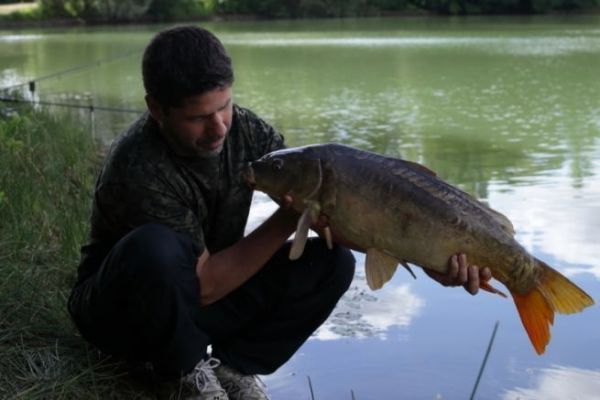 A nice fish caught on a fast two-rod fishery