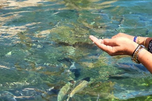 Marine Protected Areas
