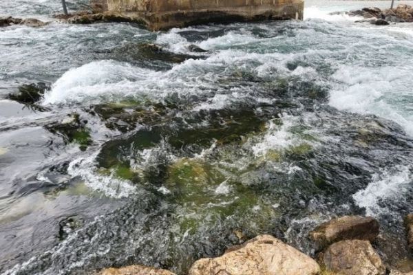 Water, a resource to be reckoned with!