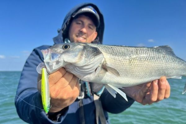 The Power Tail Shallow: a new product that has already proven its effectiveness.