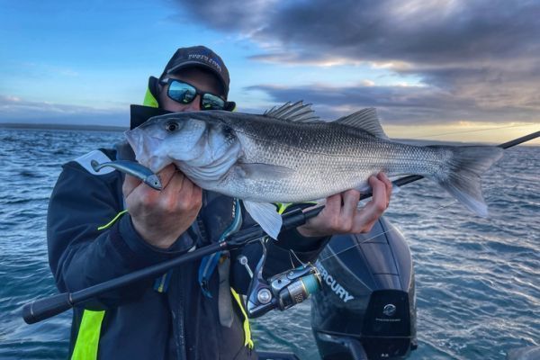 The Fiiish Master Shad is efficient!