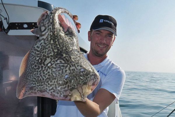 Here, a large curly ray taken on fine line.