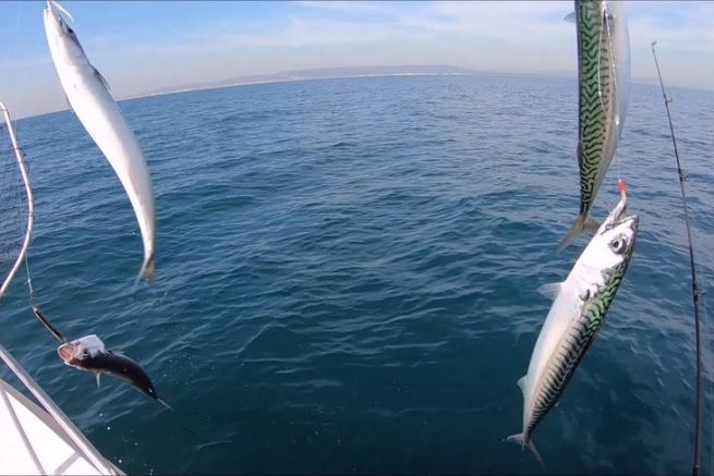 Mackerel fishing