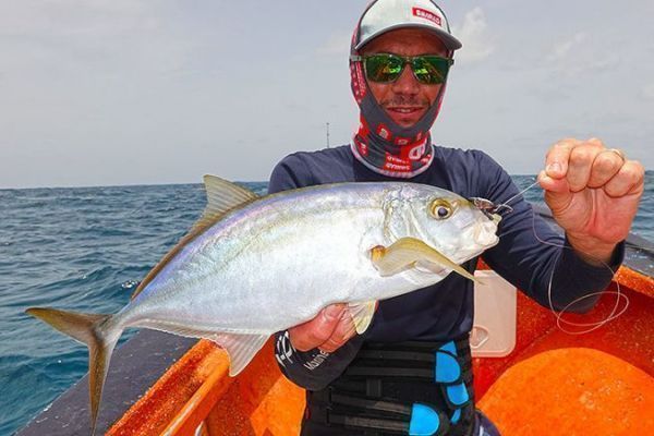 A small fat carangue known as a yellow carangue