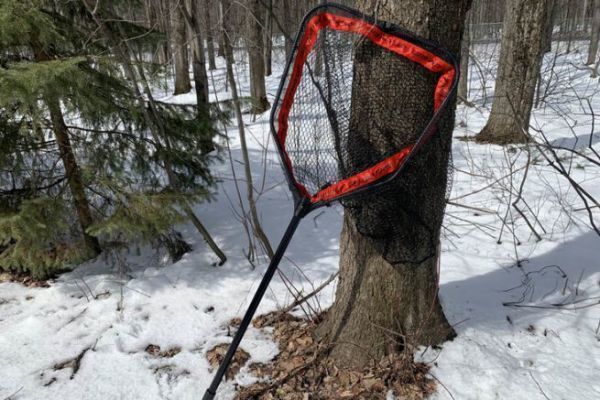 A landing net for large predators.