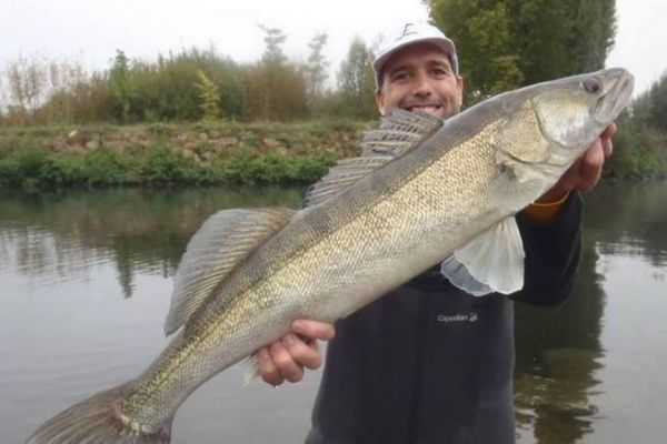 Pike-perch river fishing