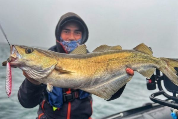 Fishing for pollock with a jig, a highly effective technique