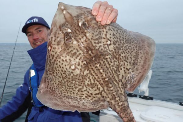 A beautiful curly ray taken with tenya