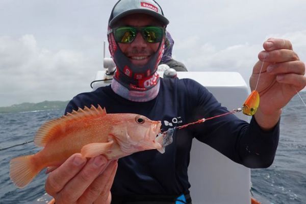 A coné ouatalibi grouper caught with a tenya in 25 m of water