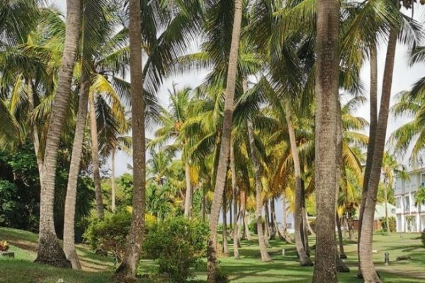 Fishing in the West Indies
