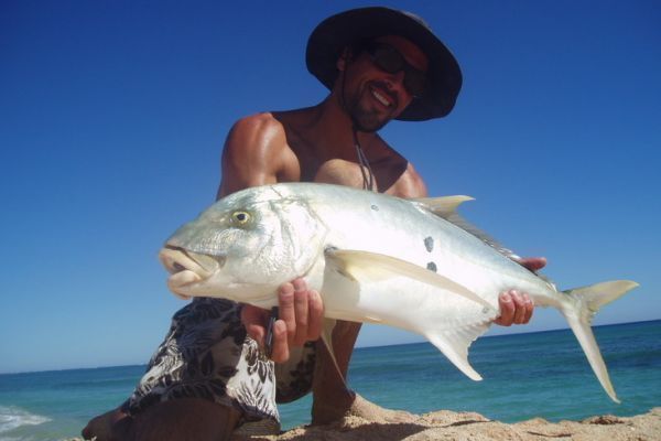 Australian trevally